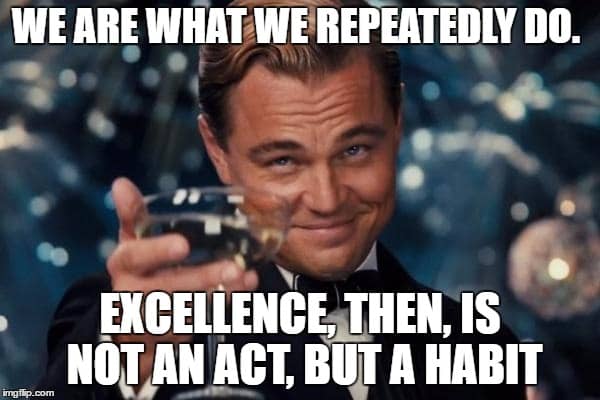 Meme Wolf of Wall Street - Excellence is a habit
